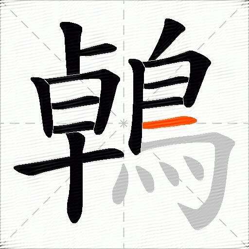 鵫