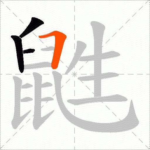 鼪