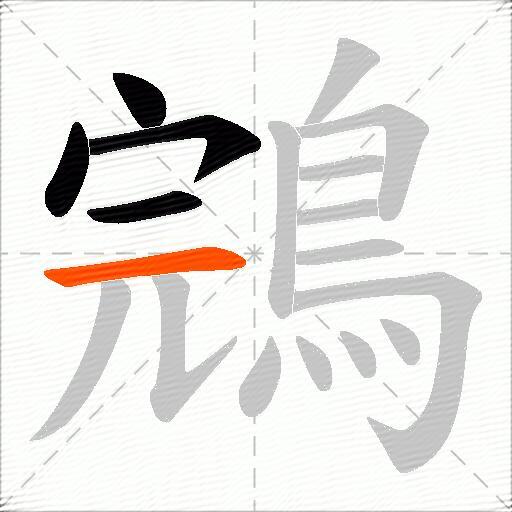 鵍