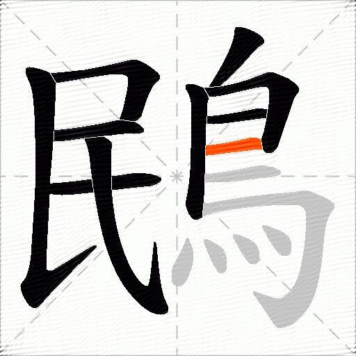 鴖