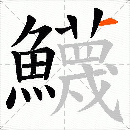 鱴