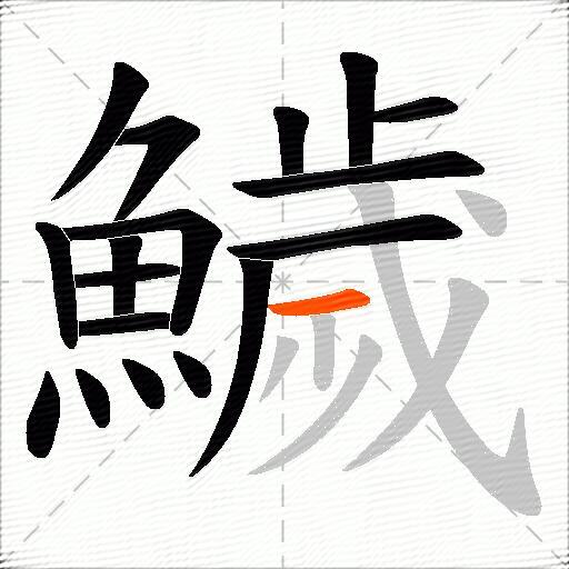 鱥