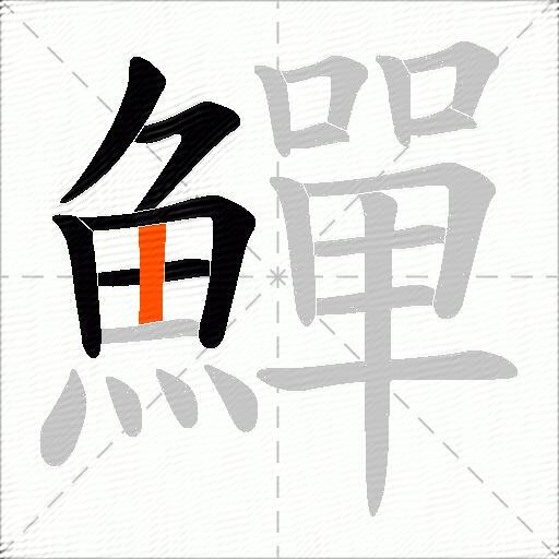 鱓