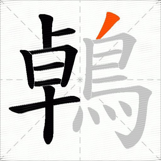 鵫