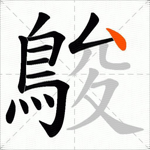 鵔