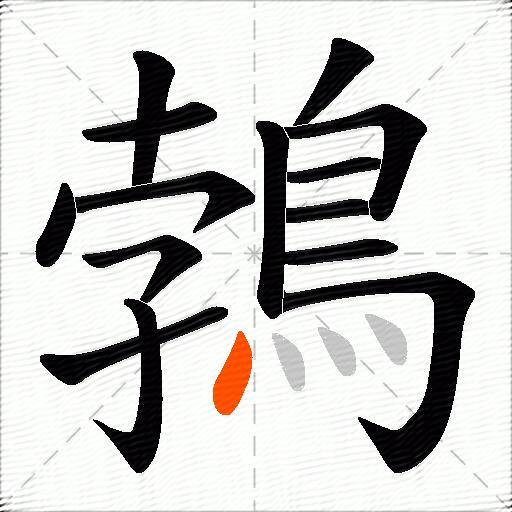 鵓