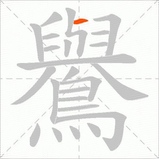 鸒