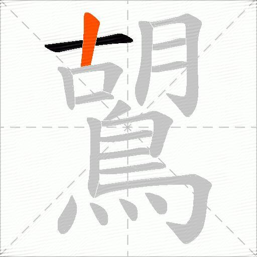 鶦