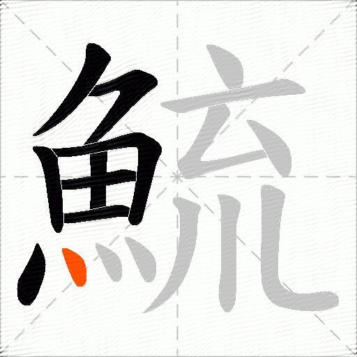 鯍