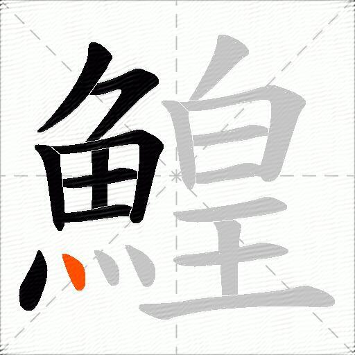 鰉