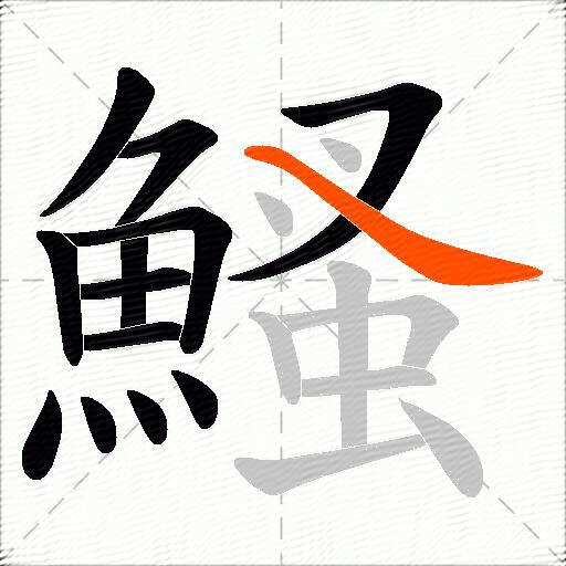 鰠