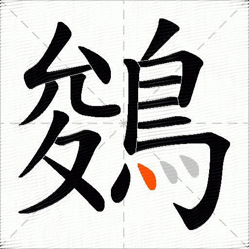 鵕