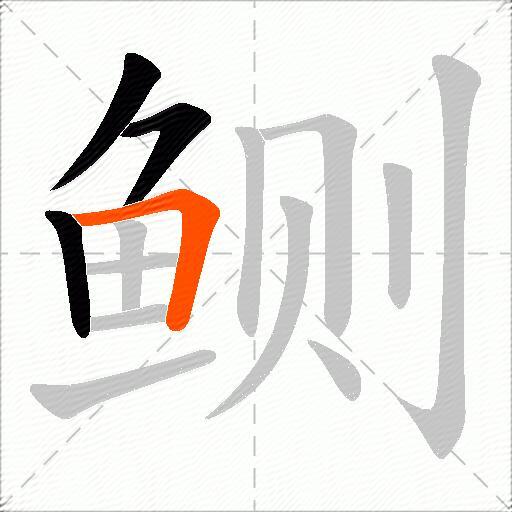 鲗