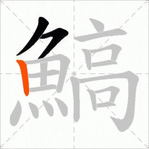 鰝