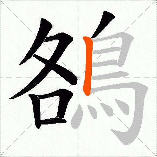 鵅