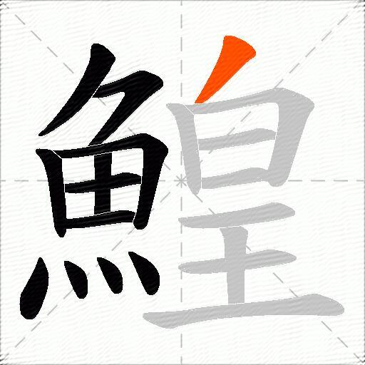鰉