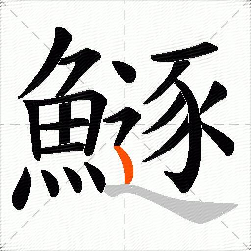 鱁