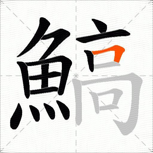 鰝