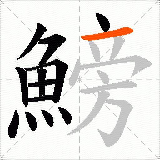 鰟