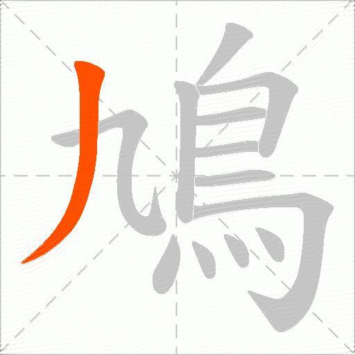 鳩