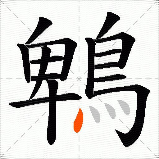 鵯