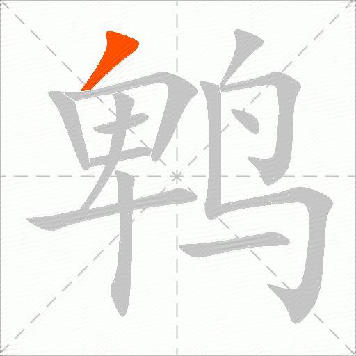 鹎