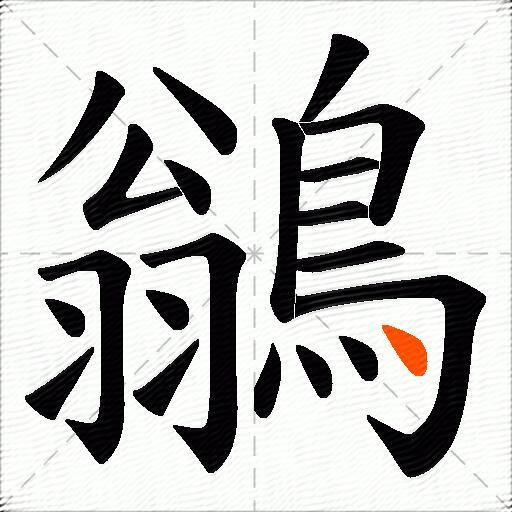 鶲
