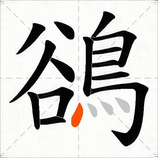 鵒