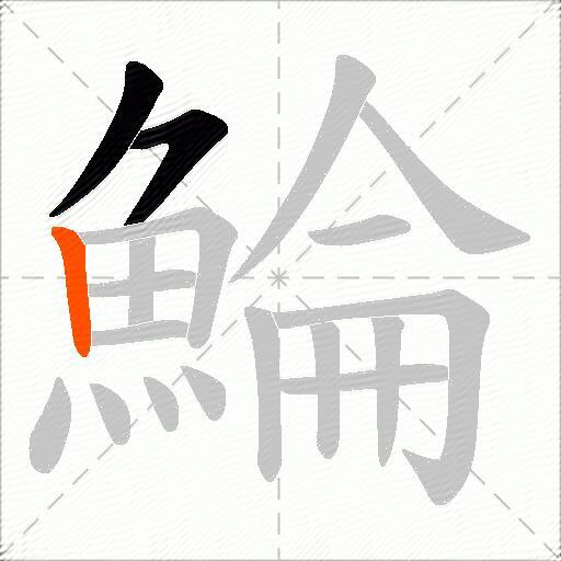 鯩