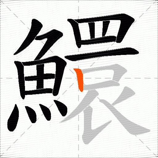鱞