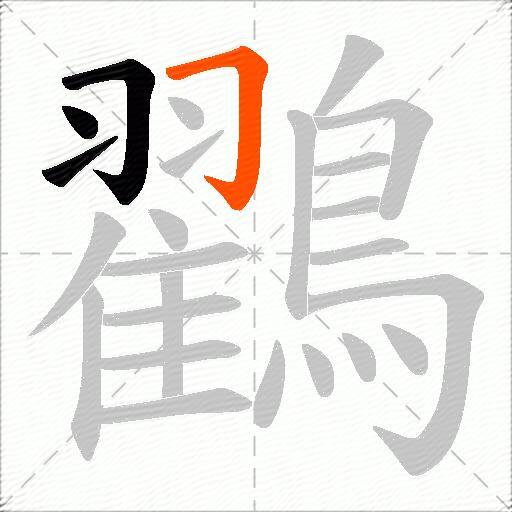 鸐