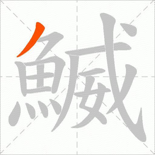 鰄