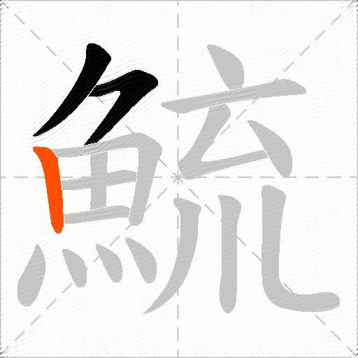 鯍