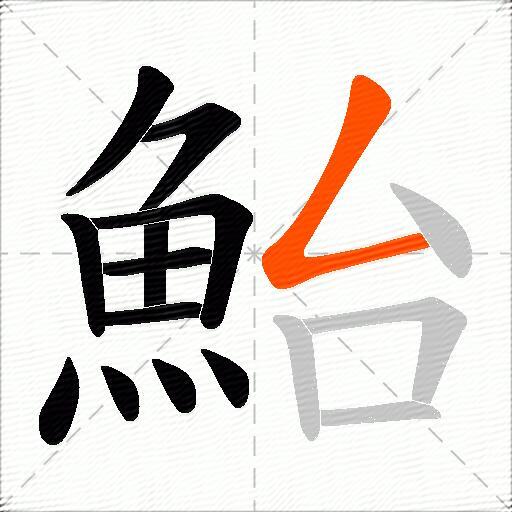 鮐