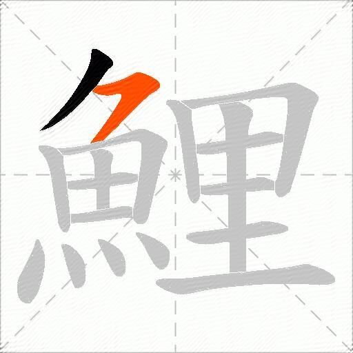 鯉