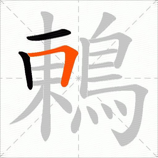 鶇