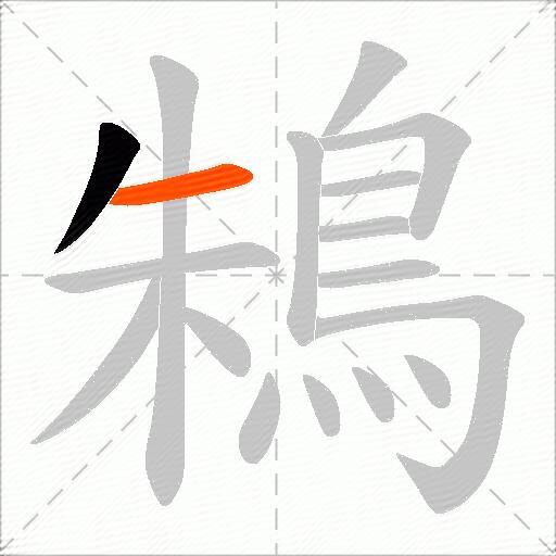 鴸