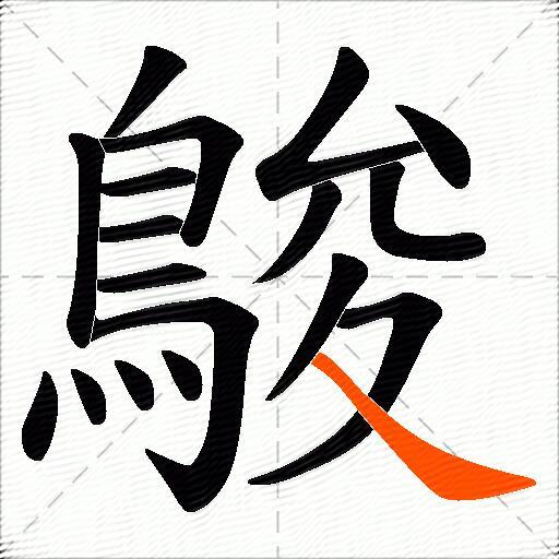 鵔