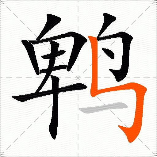 鹎