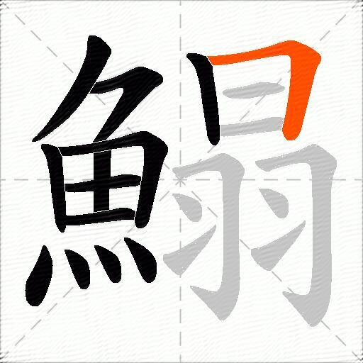 鰨