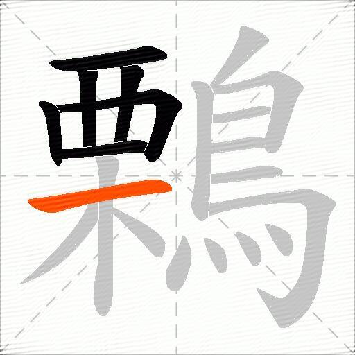 鷅