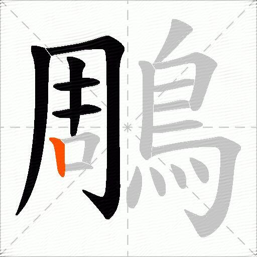 鵰