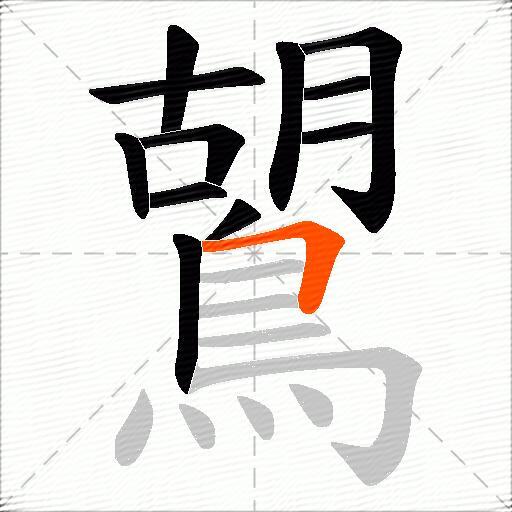鶦