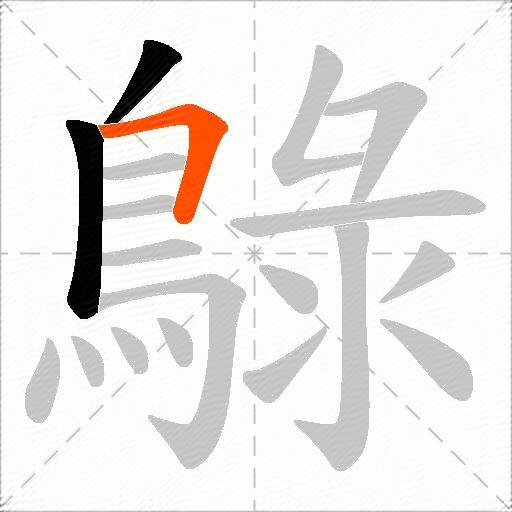 鵦