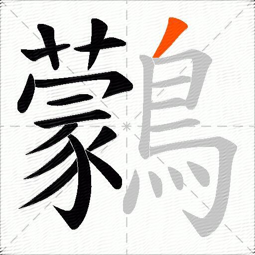 鸏