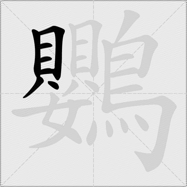 鸚