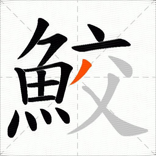 鮫