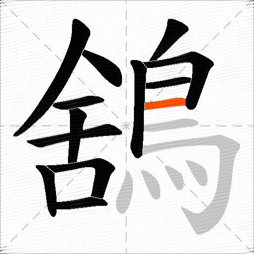 鵨