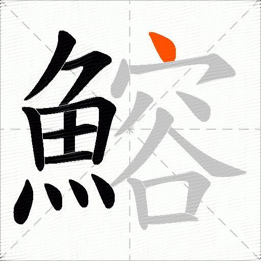 鰫