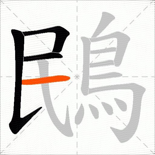 鴖